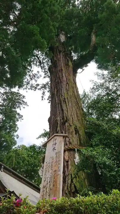香取神宮の自然