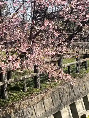 小松神社(埼玉県)