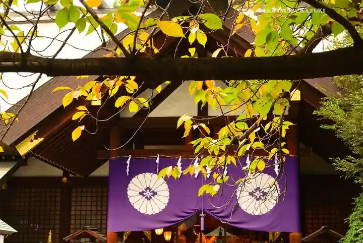 東京大神宮(東京都)