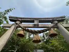 白鬚神社(福井県)