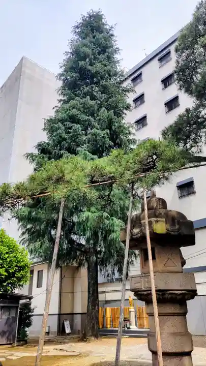 髙福院(東京都)