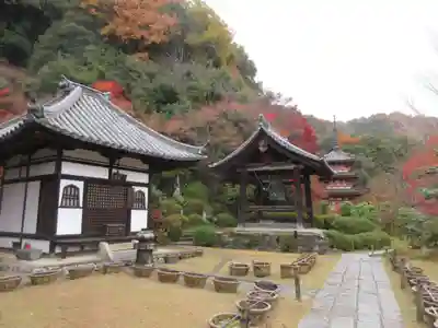 三室戸寺(京都府)