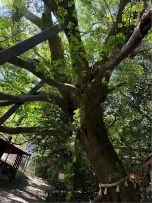 八大龍王水神(宮崎県)