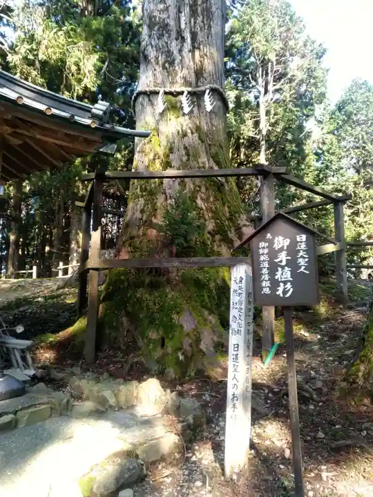 身延山奥之院思親閣の自然