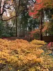 慈照寺（慈照禅寺・銀閣寺）の自然