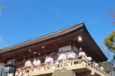 伊豫豆比古命神社(愛媛県)