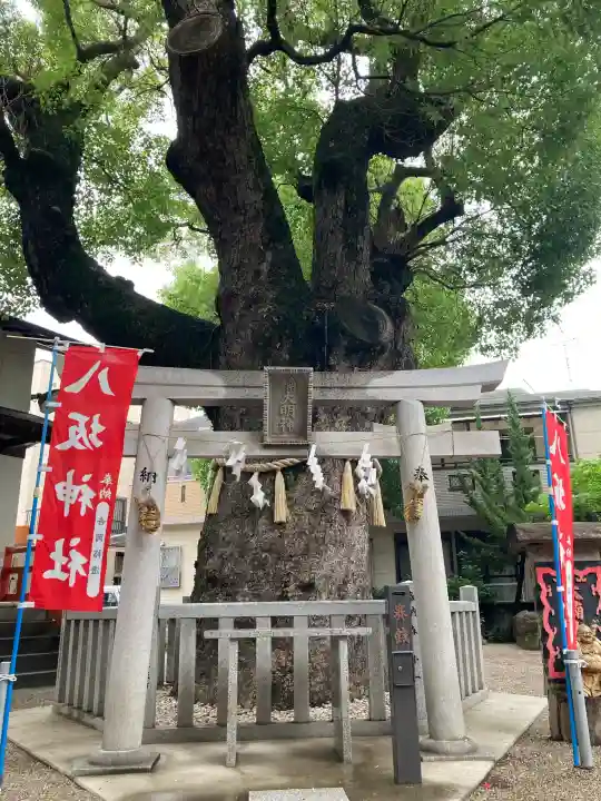 八坂神社(大阪府)