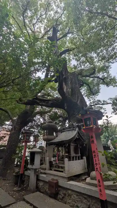 若一神社(京都府)