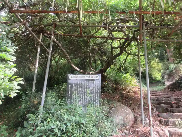 正福寺別当米山薬師堂(埼玉県)