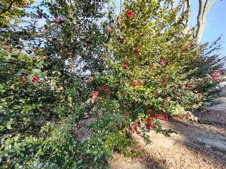 神炊館神社 ⁂奥州須賀川総鎮守⁂(福島県)