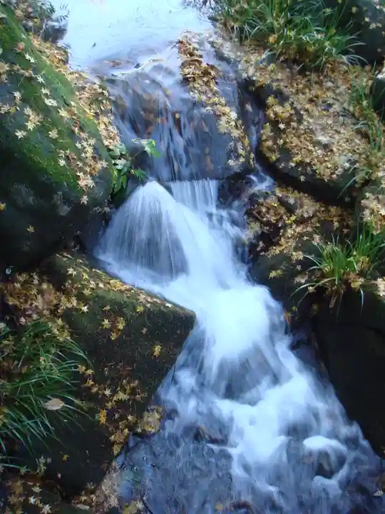 成田山新勝寺の自然