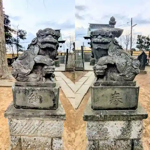 時平神社(大和田)の狛犬