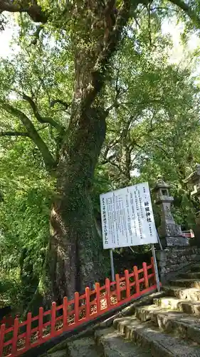 新田神社の建物その他