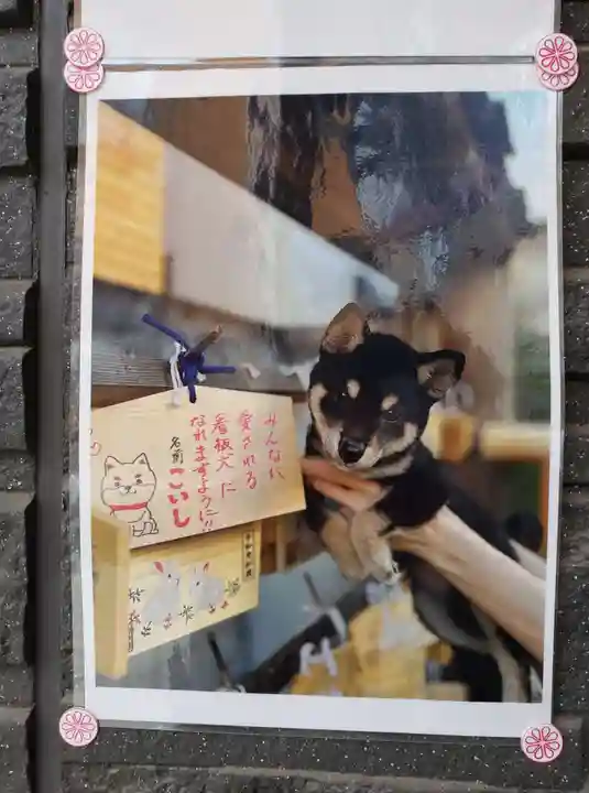 【閉業】小石川大神宮(東京都)