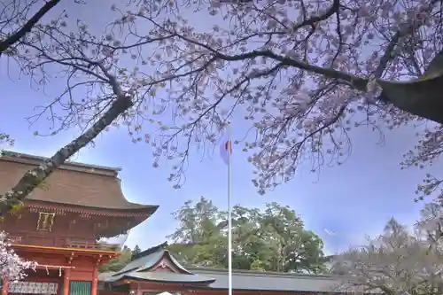 富士山本宮浅間大社(静岡県)