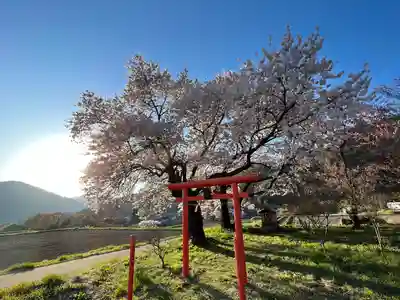 天神宮(伝河原氏屋敷跡)の自然