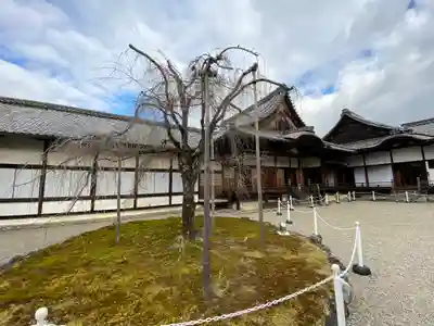 醍醐寺(上醍醐)(京都府)