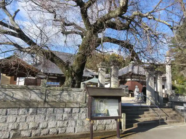 国分寺(愛媛県)