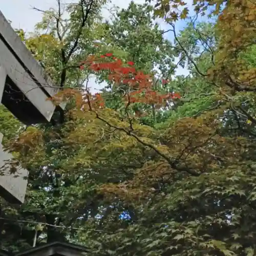 彌彦神社　(伊夜日子神社)(北海道)