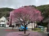吉香神社の自然