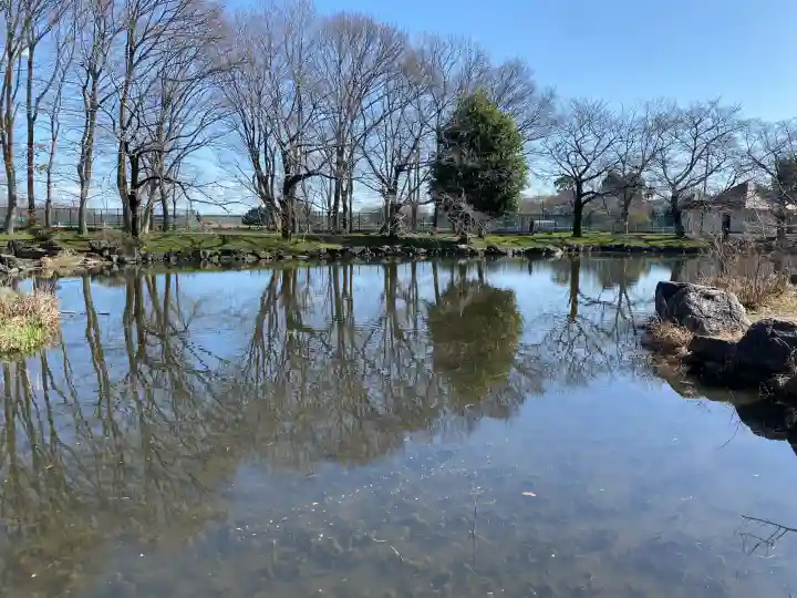 氷川女體神社の{uncategorized: "未分類", other: "その他", undefined: "問題あり", building: "その他建物", grave: "お墓", sacred_gate: "鳥居", guardian: "狛犬", statue: "像", buddha: "仏像", history: "歴史", nature: "自然", garden: "庭園", animal: "動物", pagoda: "塔", temizu: "手水舎", mountain_gate: "山門・神門", sanctuary: "本殿・本堂", subordinate: "末社・摂社", art: "芸術", scenery: "景色", jizo: "地蔵", ema: "絵馬", goshuin: "御朱印", omikuji: "おみくじ", items: "授与品その他", amulet: "お守り", goshuincho: "御朱印帳", eats: "食事", festival: "お祭り", votive_dance: "神楽", shichigosan: "七五三参", wedding: "結婚式", experience: "体験その他", initially: "初詣", around: "周辺", anti_infection: "感染症対策"}
