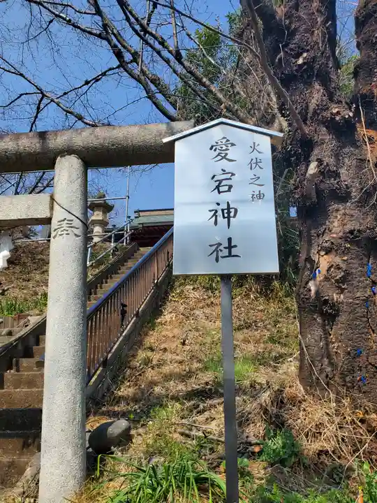 愛宕神社 (山下町)(栃木県)