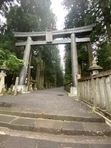 北口本宮冨士浅間神社の鳥居