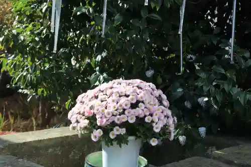 開成山大神宮の手水舎