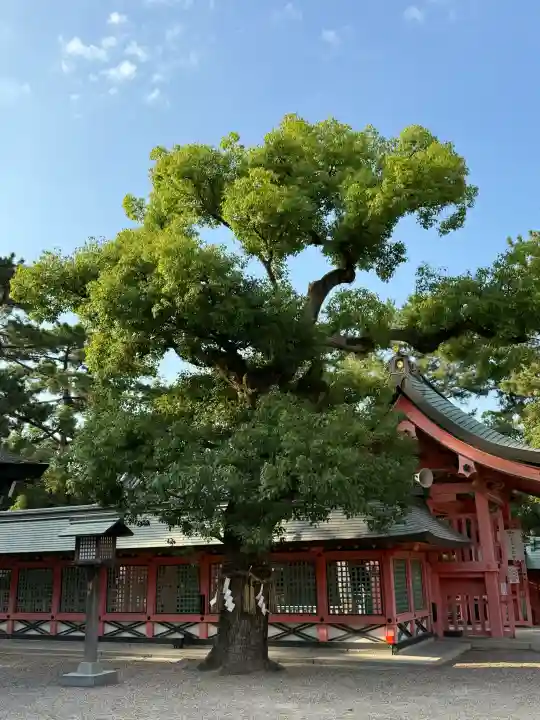 住吉大社(大阪府)
