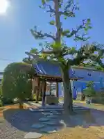 円長寺の手水舎