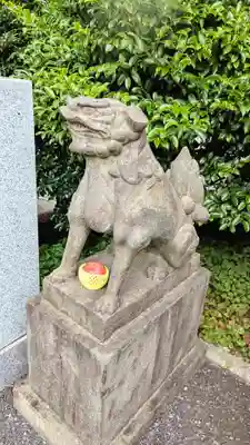 白金氷川神社の狛犬