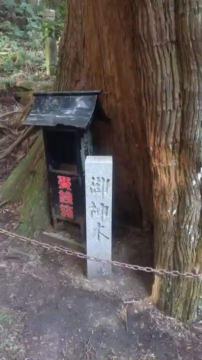 青玉神社(兵庫県)