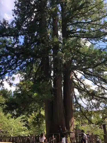 戸隠神社中社(長野県)