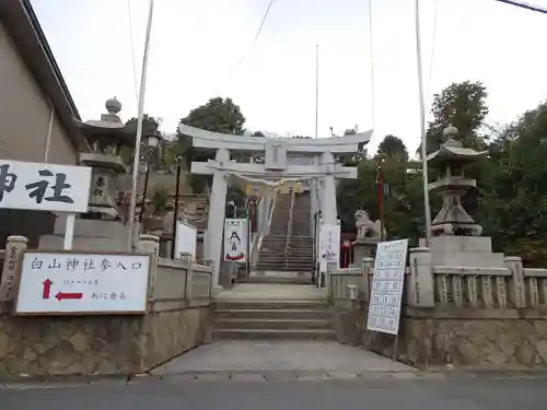 藤ノ木白山神社の鳥居