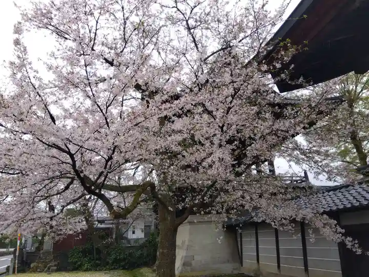 毫攝寺(福井県)