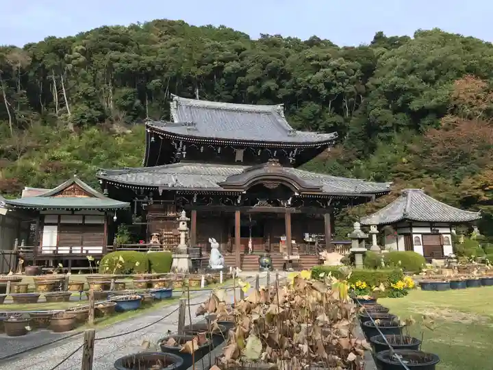 三室戸寺の本殿・本堂