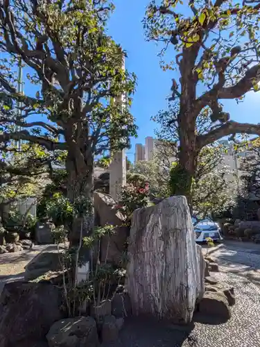 大円寺(東京都)