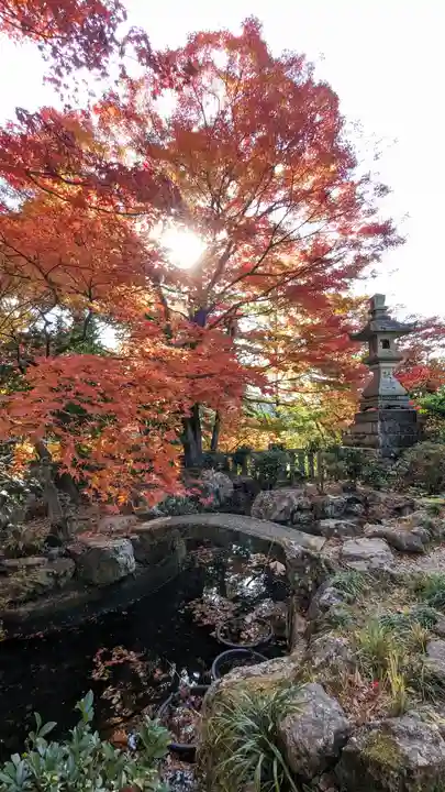 柳谷観音 楊谷寺(京都府)