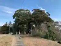 稲荷神社の周辺