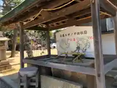 舞子六神社の手水