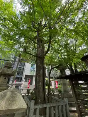 神明社の{uncategorized: "未分類", other: "その他", undefined: "問題あり", building: "その他建物", grave: "お墓", sacred_gate: "鳥居", guardian: "狛犬", statue: "像", buddha: "仏像", history: "歴史", nature: "自然", garden: "庭園", animal: "動物", pagoda: "塔", temizu: "手水舎", mountain_gate: "山門・神門", sanctuary: "本殿・本堂", subordinate: "末社・摂社", art: "芸術", scenery: "景色", jizo: "地蔵", ema: "絵馬", goshuin: "御朱印", omikuji: "おみくじ", items: "授与品その他", amulet: "お守り", goshuincho: "御朱印帳", eats: "食事", festival: "お祭り", votive_dance: "神楽", shichigosan: "七五三参", wedding: "結婚式", experience: "体験その他", initially: "初詣", around: "周辺", anti_infection: "感染症対策"}