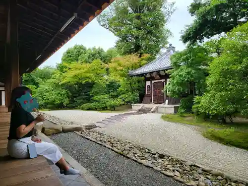 建仁寺（建仁禅寺）(京都府)