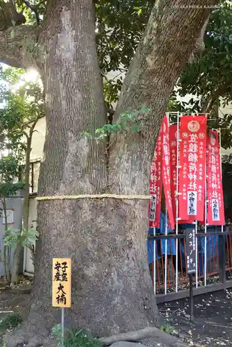 笠䅣稲荷神社の自然