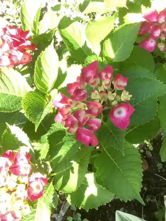 三輪神社の自然