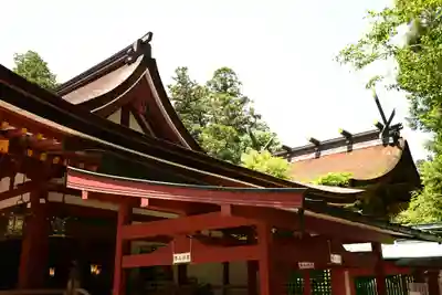 石上神宮(奈良県)