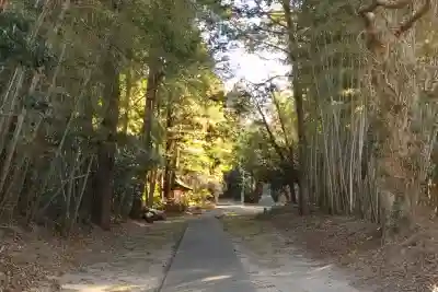 神岡稲荷神社(茨城県)