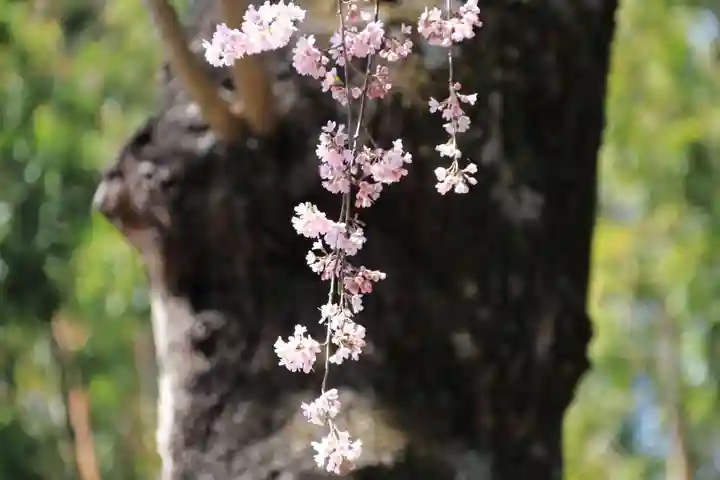 愛宕神社(福島県)