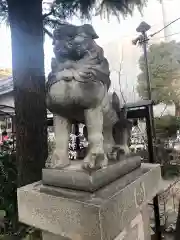 今戸神社の狛犬