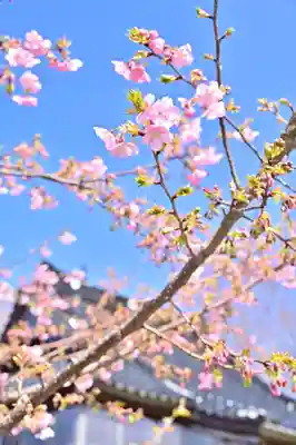 安禅寺(新潟県)