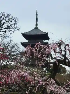 東寺(教王護国寺)の塔